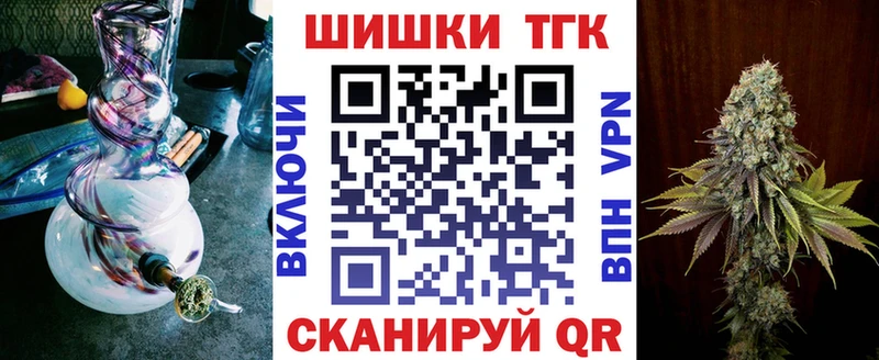 Бошки Шишки план  продажа наркотиков  omg ONION  Жиздра 